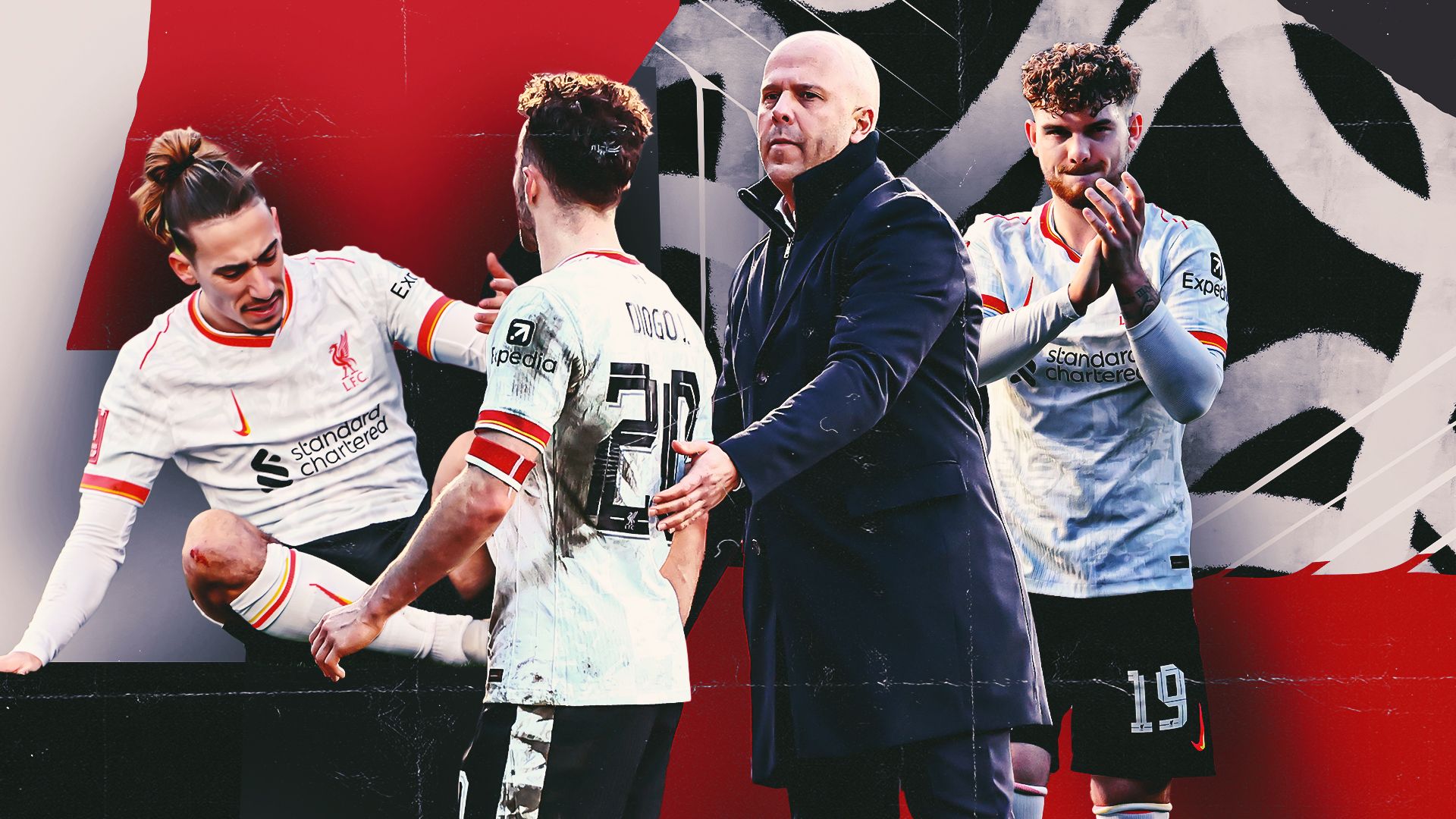 引来了多家 引来了多家